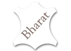 web development in kaushambi,website designing in vaishali