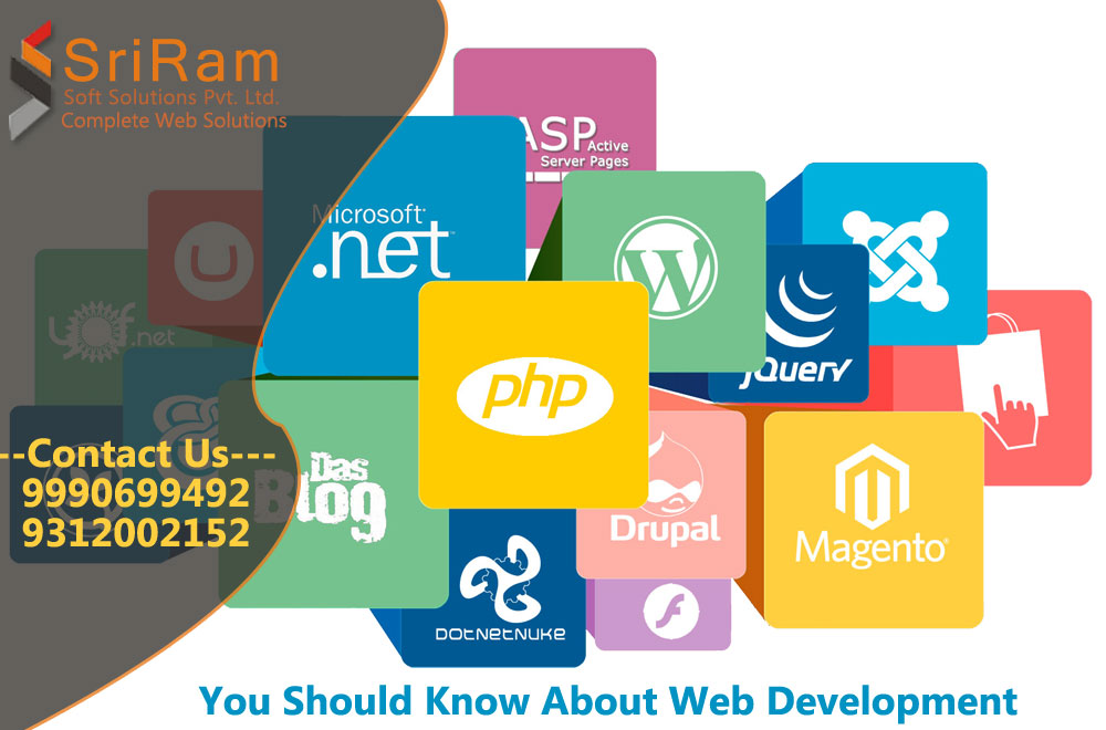 website designing company in delhi